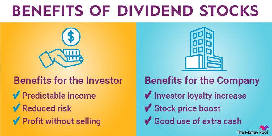 Dividend Stocks: How To Invest & 7 High-Yield Options for September