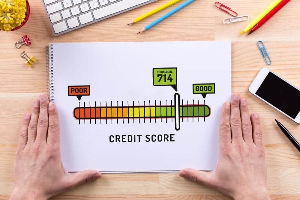 credit reports and scores update